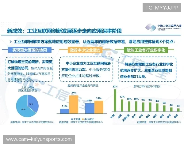行业平台现阶段聚焦无障碍观赛功能开发，促进包容性设计落地。